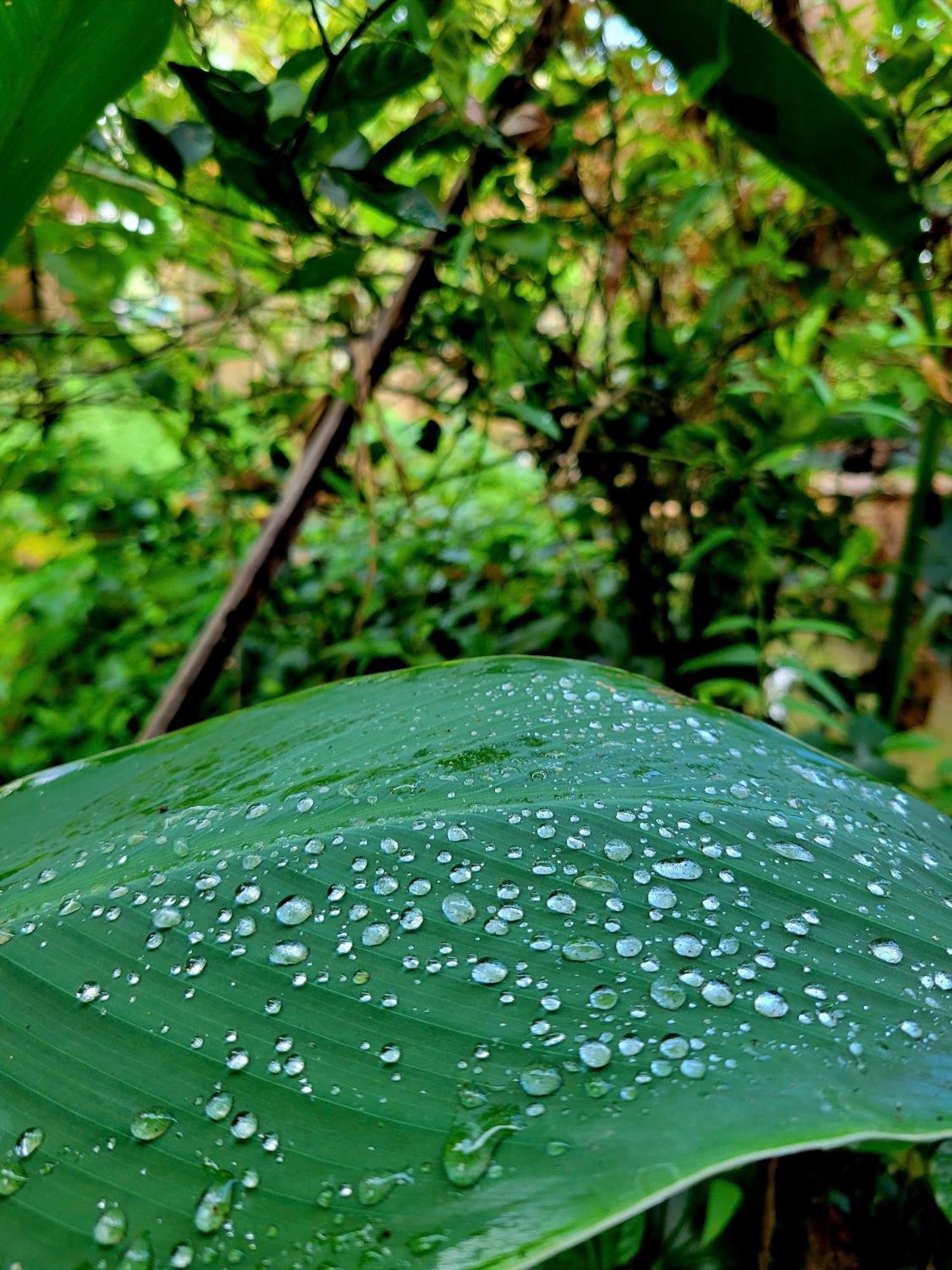 Nong Trai Thanh Thoi Ben Tre 外观 照片